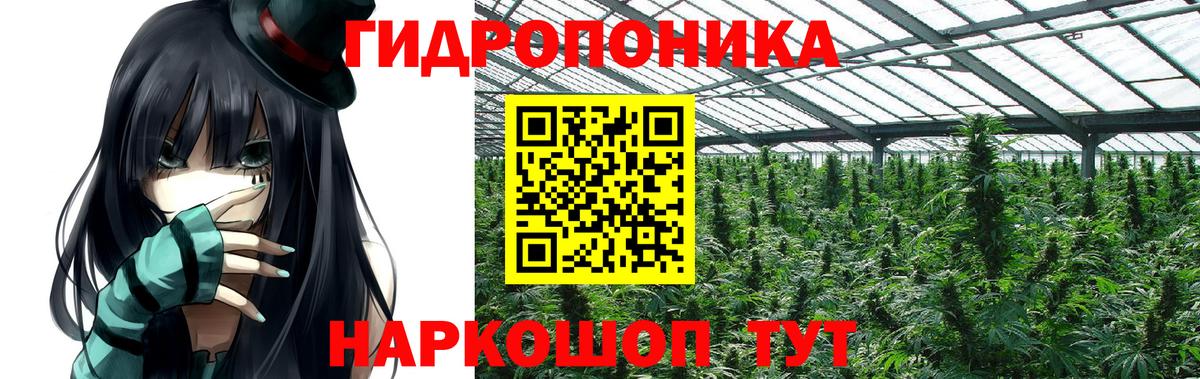 Шишки марихуана план  Марихуана Ganja  Шишки марихуана марихуана  Вход с VPN  Ярцево 
